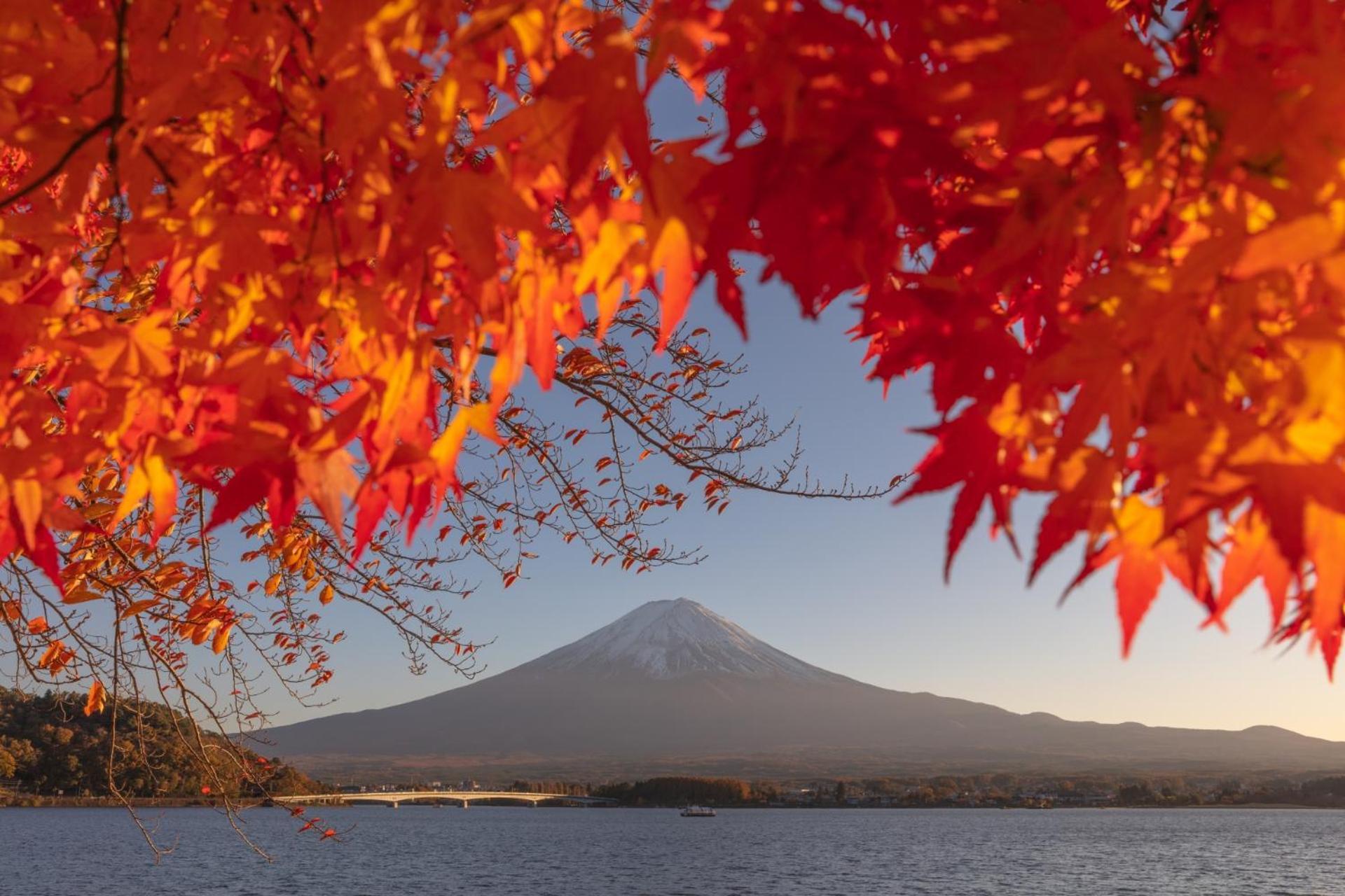 Fuji Fumoto Forest Hotspring ふもとの森温泉 Fujikawaguchiko Exterior foto
